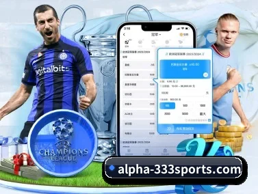 333体育登录入口 APP 界面